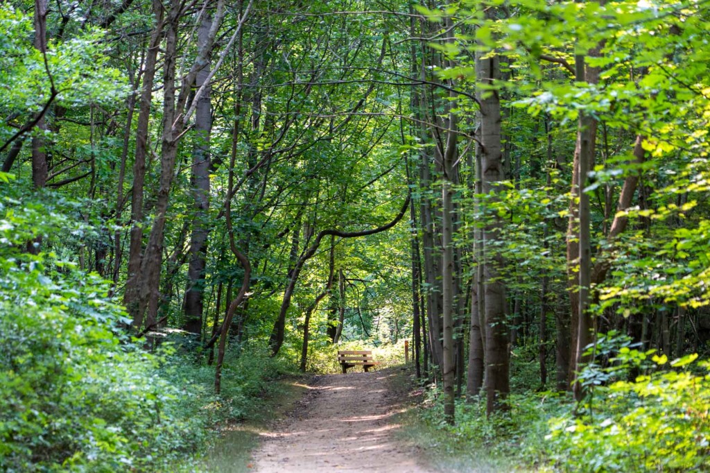 Activities at Summit Metroparks give AMHA residents outdoor experiences close to home.